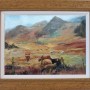 High Land Cattle Framed